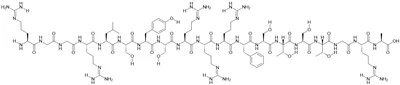 SynB1ペプチド